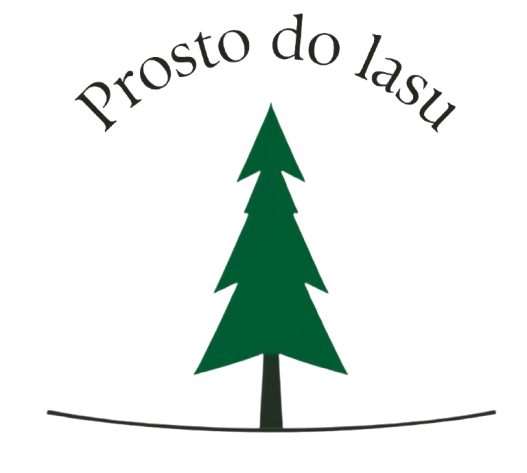 Prosto do lasu